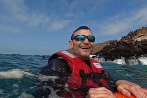 Lima: 2 dage: Palomino Island - Svømning med søløver + Huacachina - Alt inkluderet