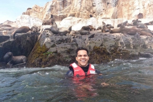 Lima: 2 dage: Palomino Island - Svømning med søløver + Huacachina - Alt inkluderet