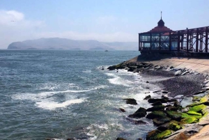 Lima: 2 dage: Palomino Island - Svømning med søløver + Huacachina - Alt inkluderet