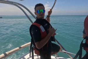 Lima: 2 dage: Palomino Island - Svømning med søløver + Huacachina - Alt inkluderet