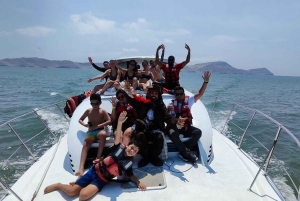 Lima: 2 dage: Palomino Island - Svømning med søløver + Huacachina - Alt inkluderet