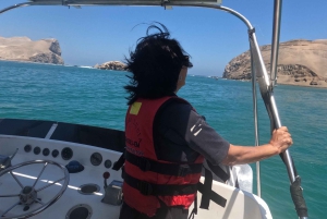 Lima: 2 dage: Palomino Island - Svømning med søløver + Huacachina - Alt inkluderet