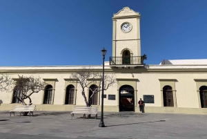 Los Cabos: Halvdags San Lucas og San Jose Tour