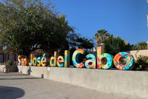 Los Cabos: Halvdags San Lucas og San Jose Tour