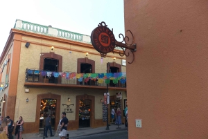 Los Cabos: Halvdags San Lucas og San Jose Tour