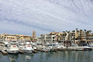 Los Cabos: Halvdags San Lucas og San Jose Tour