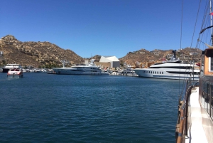 Los Cabos: Halvdags San Lucas og San Jose Tour