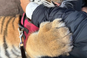 Wycieczka do Mazamitla z Guadalajara z wizytą w Mundo Aventura