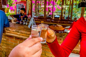 Mazatlán: Tequila Factory & Country Sightseeing