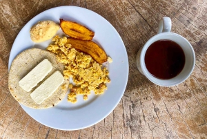 Medellin: Guatape Tour with Boat, Breakfast, Lunch & Llamas