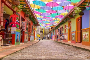 Medellin: Guatape Tour with Boat, Breakfast, Lunch & Llamas