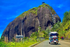 Medellin: Guatape Tour with Boat, Breakfast, Lunch & Llamas