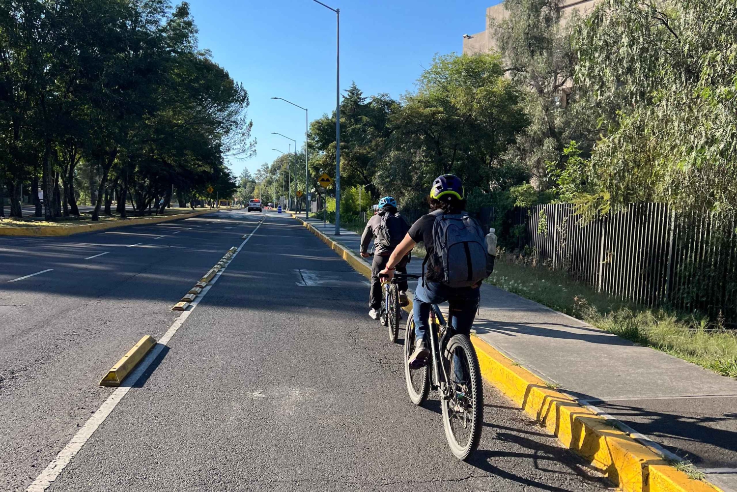 Mexico City: Cykel, cannabis, natur, mad, kultur og historie.