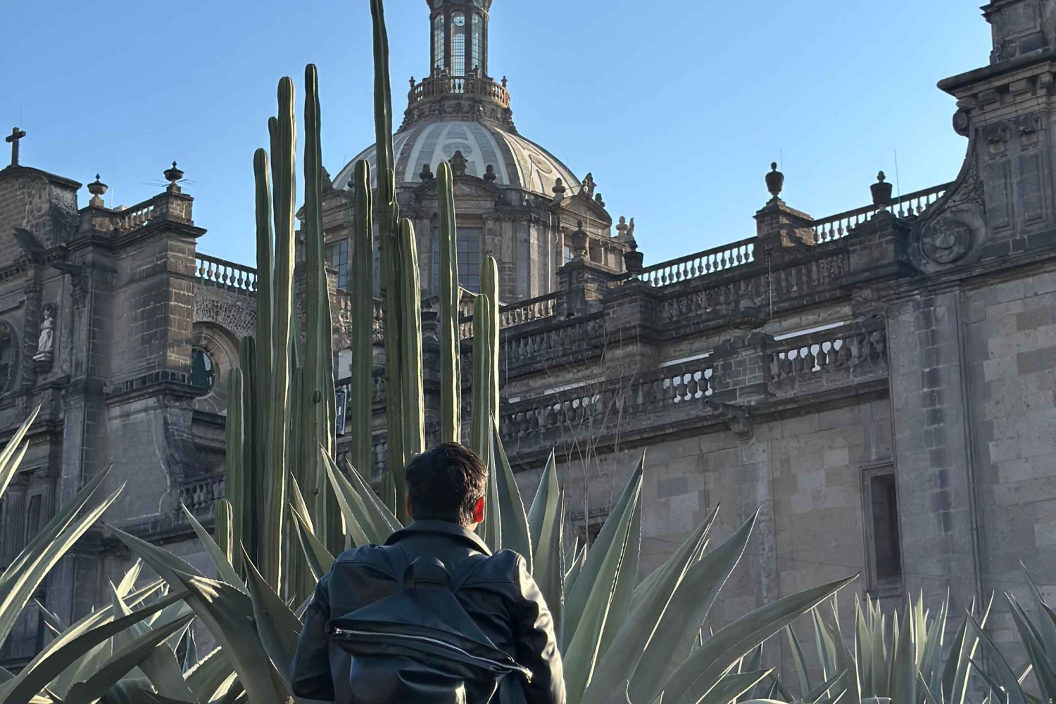 Meksyk: Wycieczka piesza po centrum miasta, spojrzenie na przeszłość i teraźniejszość.