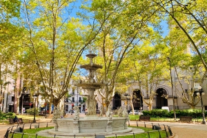 Montevideo: Complete Half-Day Tour with Guide and 6 Stops