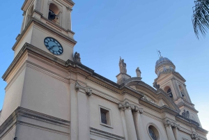 Montevideo: Halvdags tur med guide og 6 stopp
