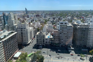 Montevideo: Halvdags tur med guide og 6 stopp