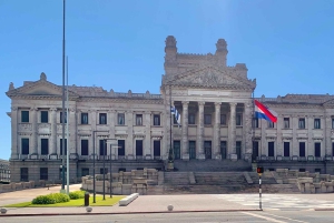 Montevideo: Halvdags tur med guide og 6 stopp