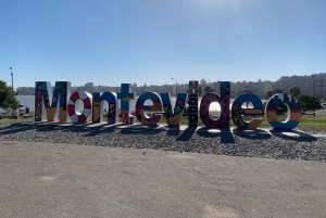 Montevideo: Halvdags tur med guide og 6 stopp