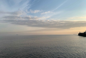 Montevideo: Halvdags tur med guide og 6 stopp