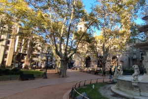 Montevideo - privat heldagstur