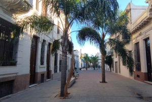 Montevideo - privat heldagstur
