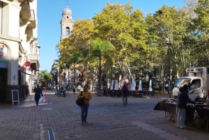 Montevideo - privat heldagstur