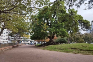 Montevideo - privat heldagstur