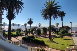 Montevideo - privat heldagstur