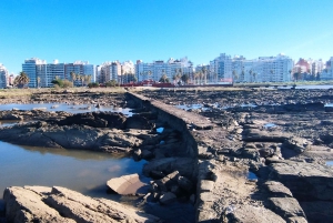 Montevideo - privat heldagstur