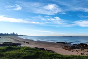 Montevideo - privat heldagstur