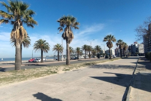 Montevideo - privat heldagstur