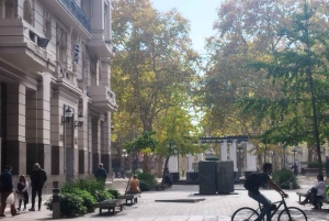 Montevideo - privat heldagstur