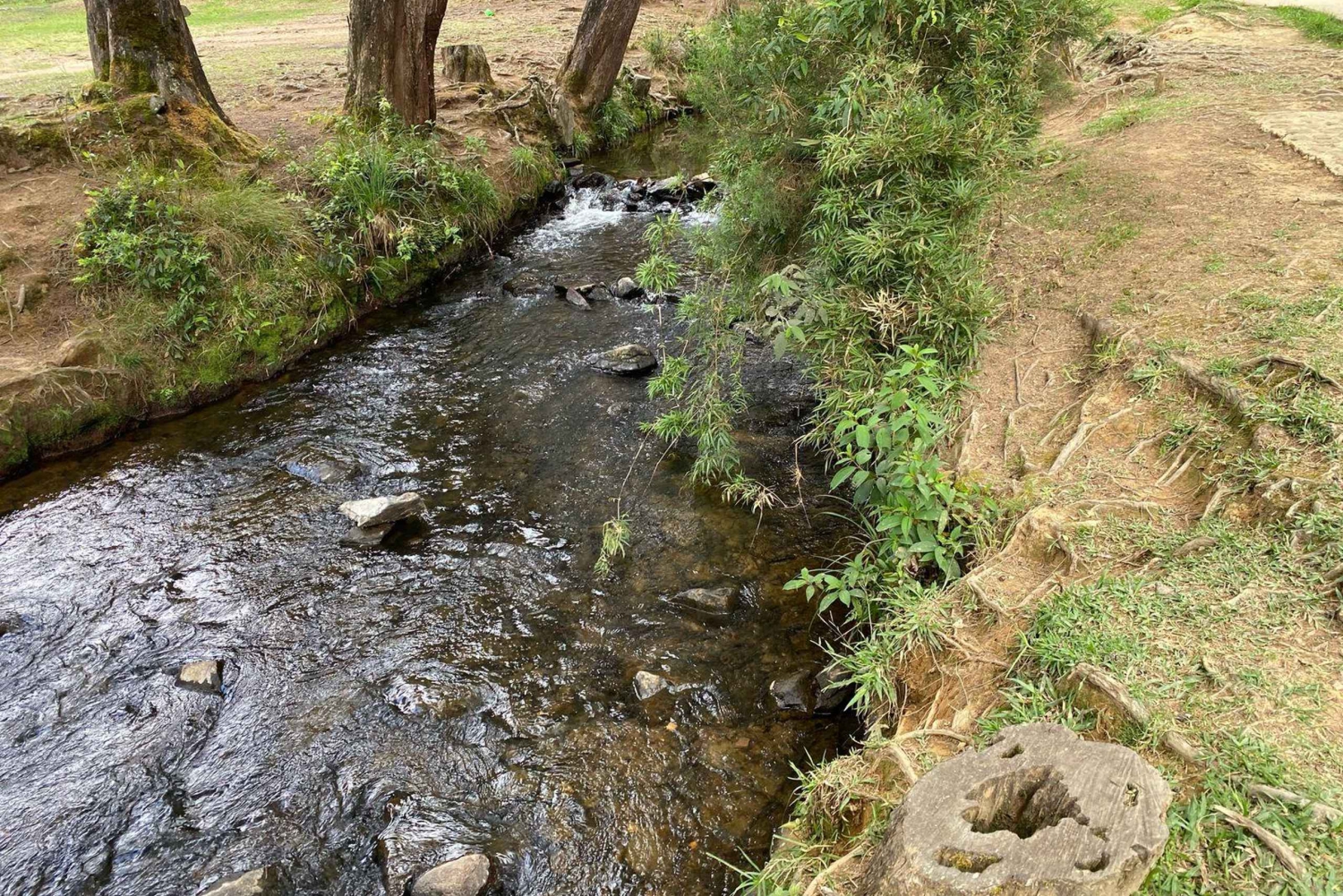 Medellinin luonto: kasvitieteellinen puutarha, Arví-puisto, El volador -kukkula ja lounas.