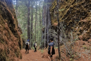 Oaxaca: Pueblos Mancomunados-vandretur