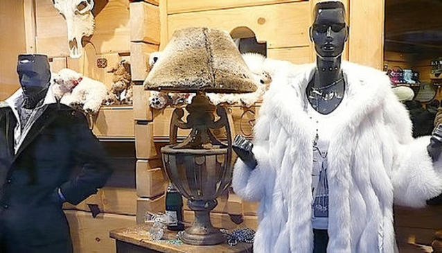 Ogier Gilbert Sports