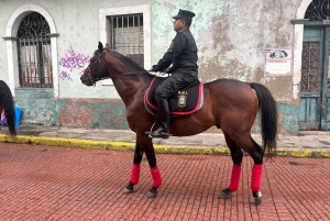 Wycieczka po Kanale Panamskim i Starym Mieście - prywatnie