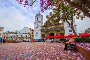 Panama City : Visite à pied privée