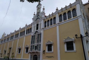 Panama City: Delad halvdagsutflykt i staden och kanalen