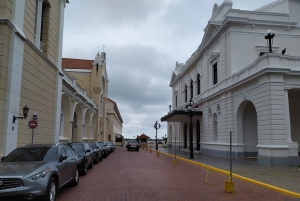 Panama City: Delad halvdagsutflykt i staden och kanalen