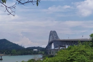 Panama City: Delad halvdagsutflykt i staden och kanalen