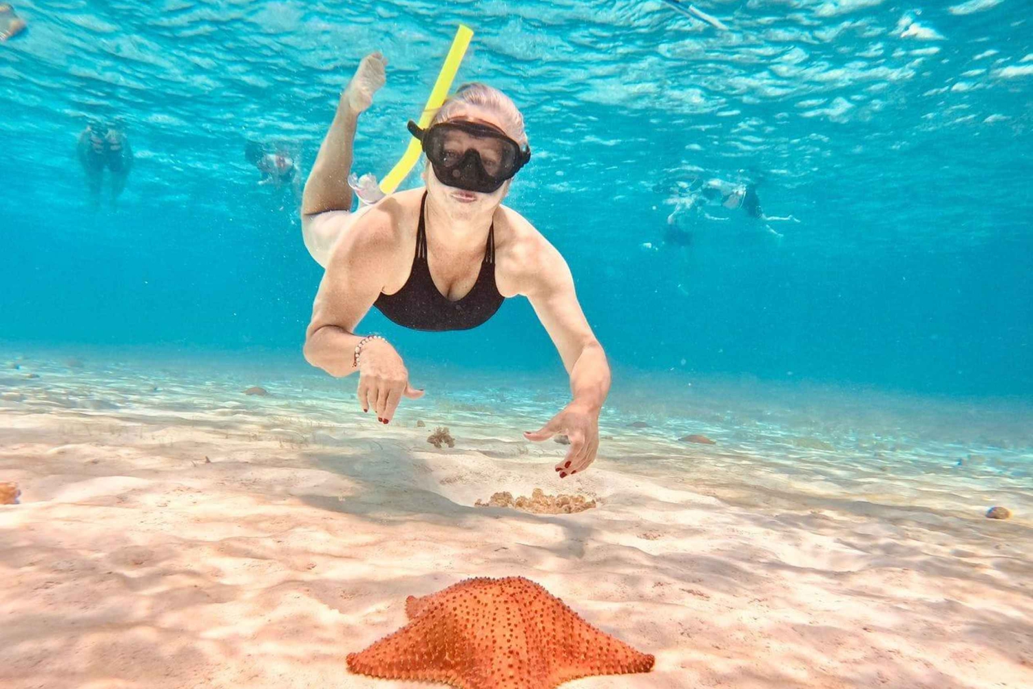 Playa del Carmen: Tur til Cozumel med frokost