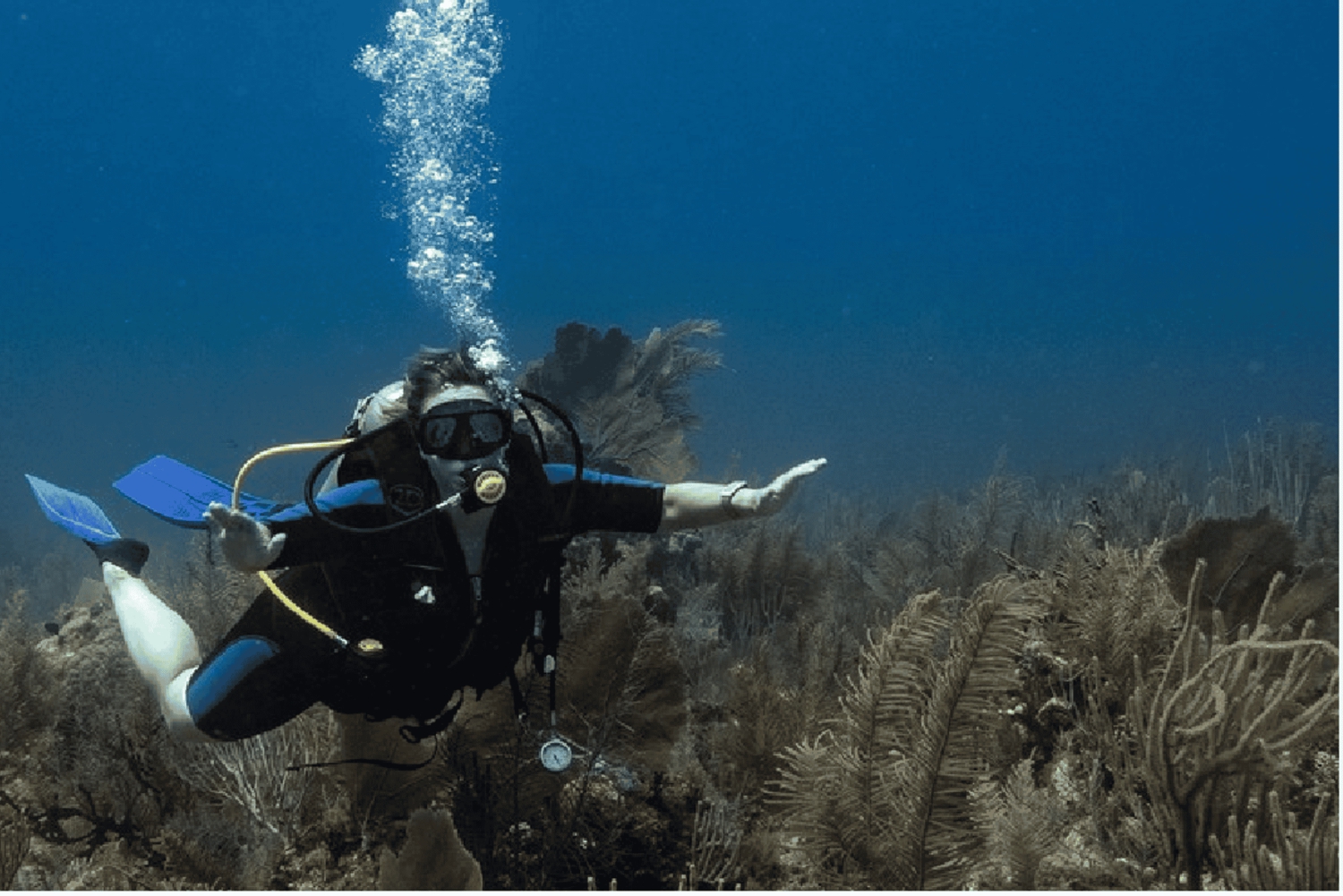 Playa del Carmen: Odkryj nurkowanie