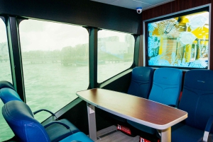 Playa Del Carmen: Fergebillett tur-retur til/fra Cozumel