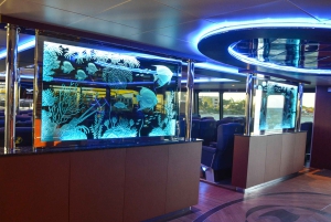 Playa Del Carmen: Fergebillett tur-retur til/fra Cozumel