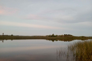 Prywatna wycieczka Have It Your Way Tour w Montevideo z lokalnym przewodnikiem