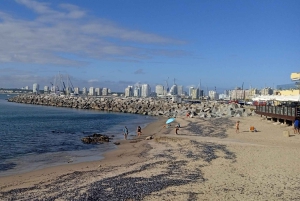 Prywatna wycieczka Have It Your Way Tour w Montevideo z lokalnym przewodnikiem