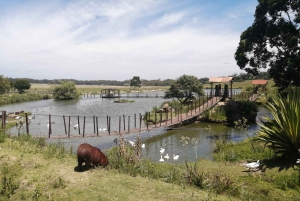 Prywatna wycieczka Have It Your Way Tour w Montevideo z lokalnym przewodnikiem