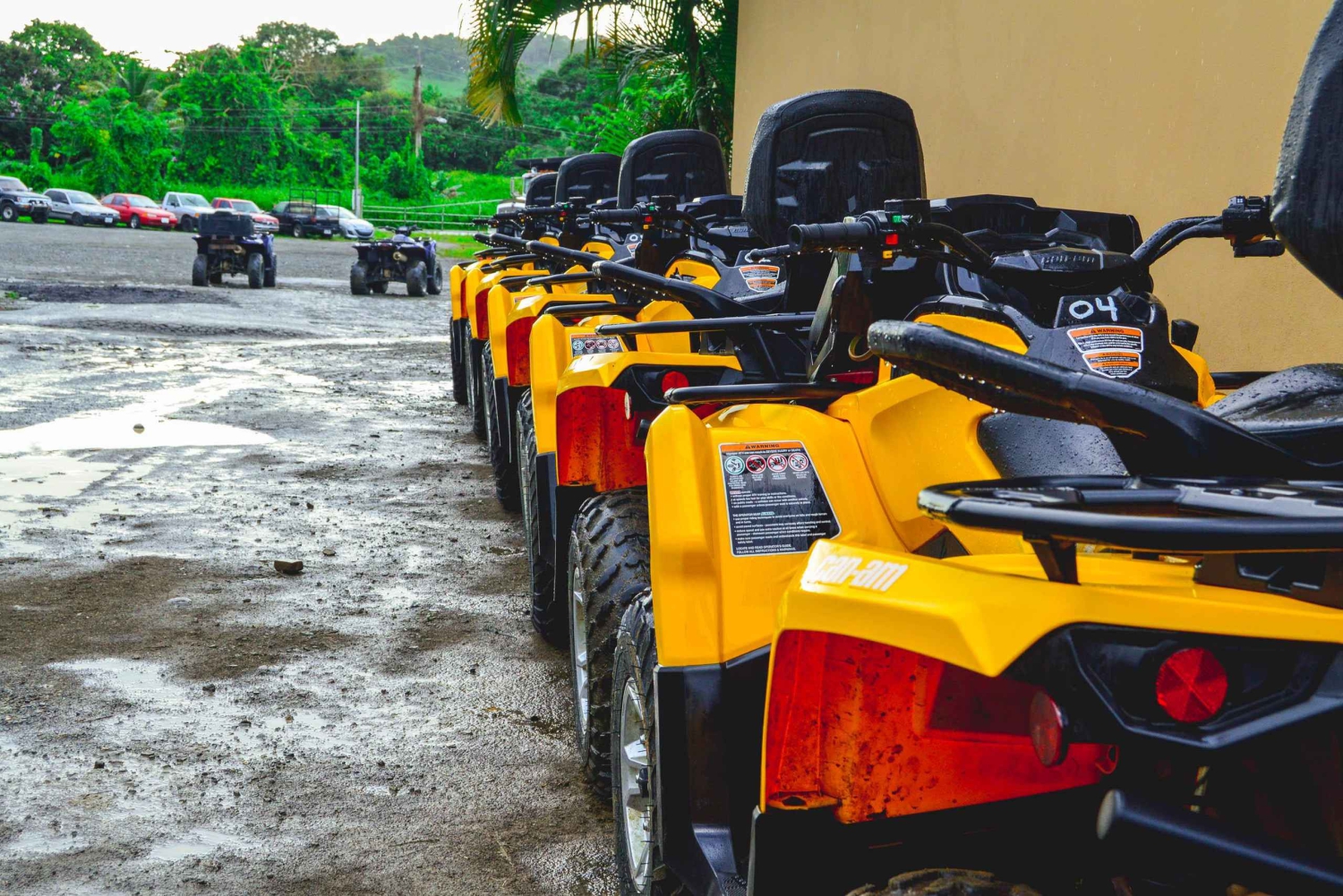 Portoryko: Hacienda Campo Rico ATV Experience z odbiorem pojazdu