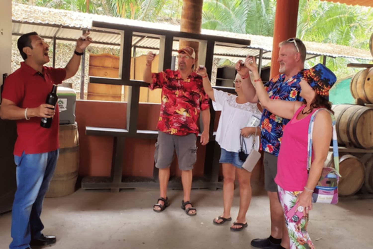 Puerto Vallarta: Byrundtur